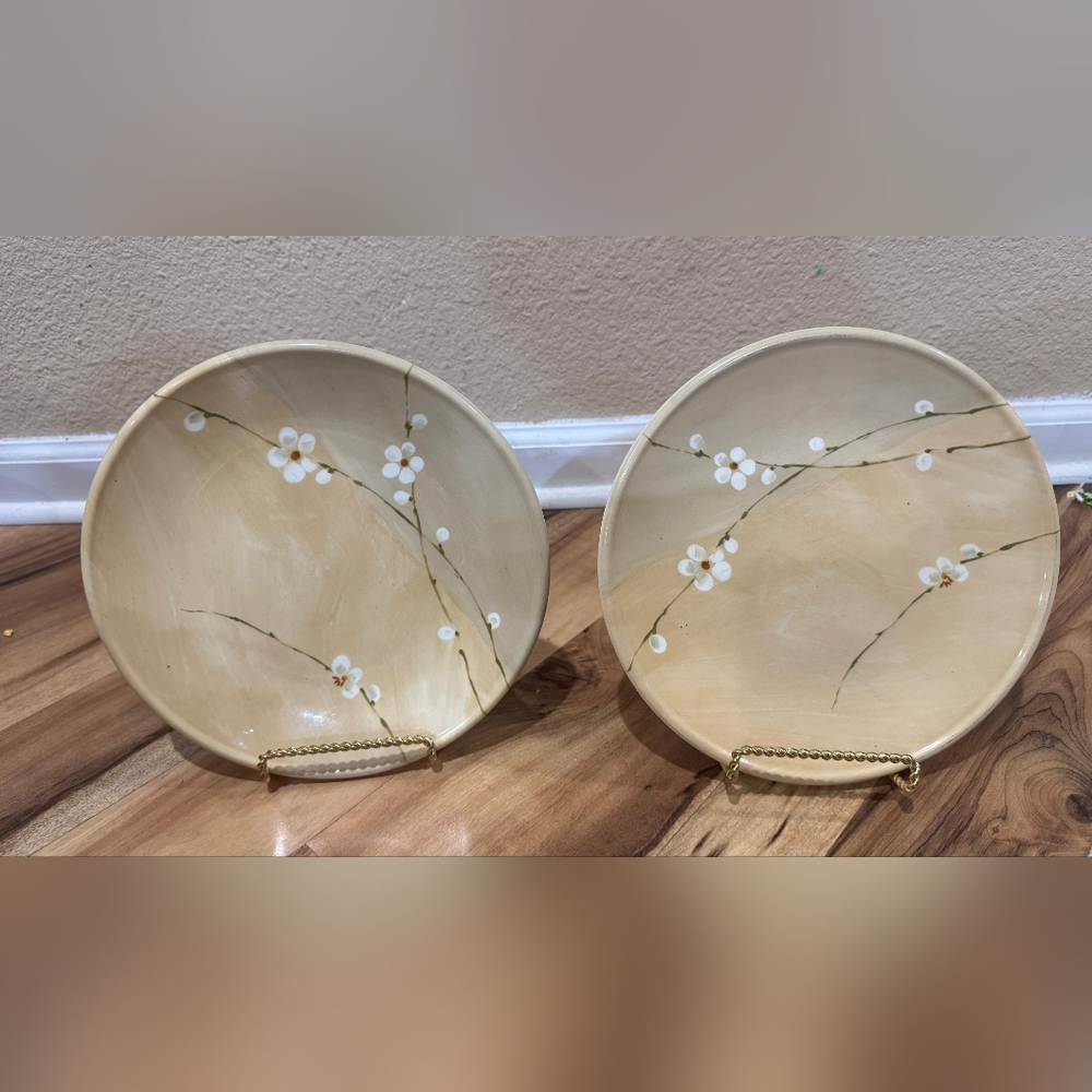 Royal Stafford Floral Plates Set of 2 | Made in England | Oven to Table | READ